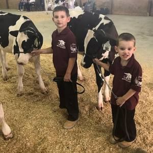 Meet your Posher, Dixie